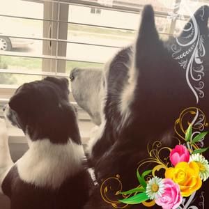 Meet your Posher, Kacey mara